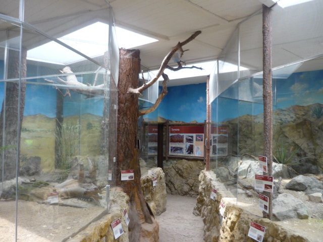 Sierra Nevada Exhibit