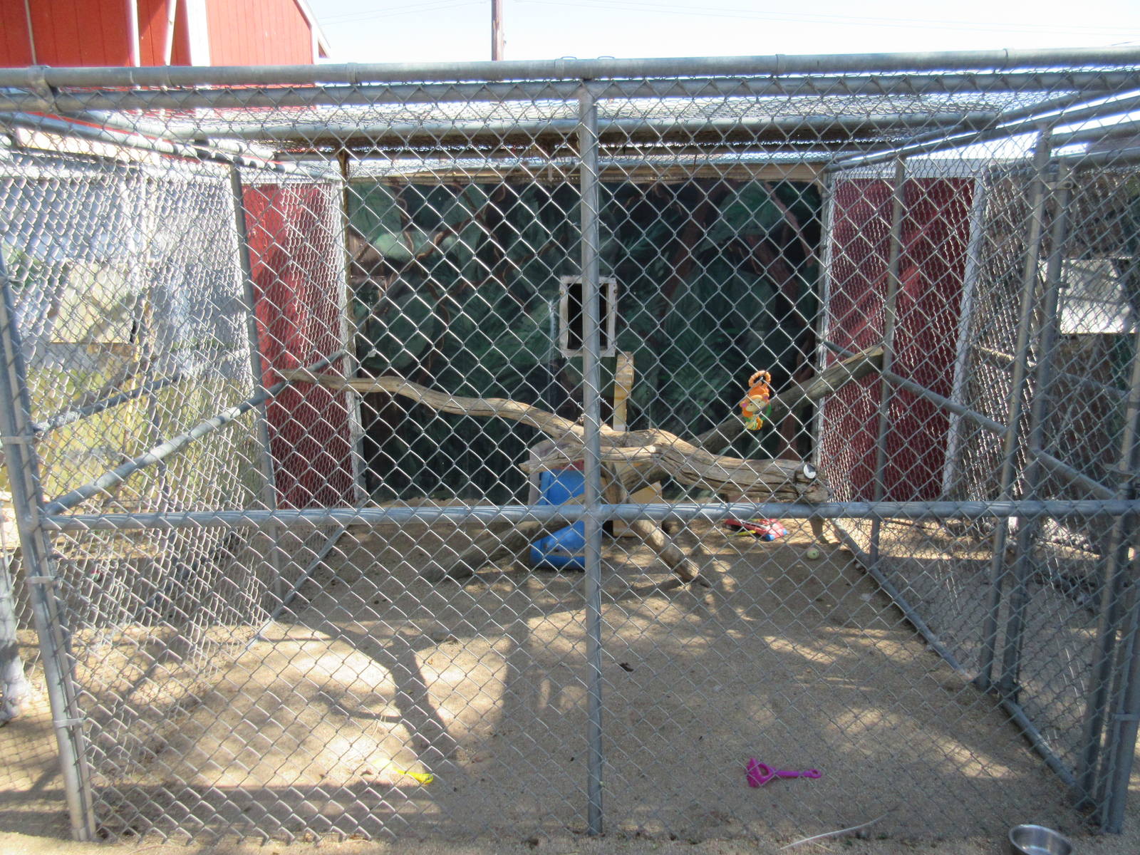 Sierra Safari Zoo (Nevada) - Black-Capped Capuchin Exhibit