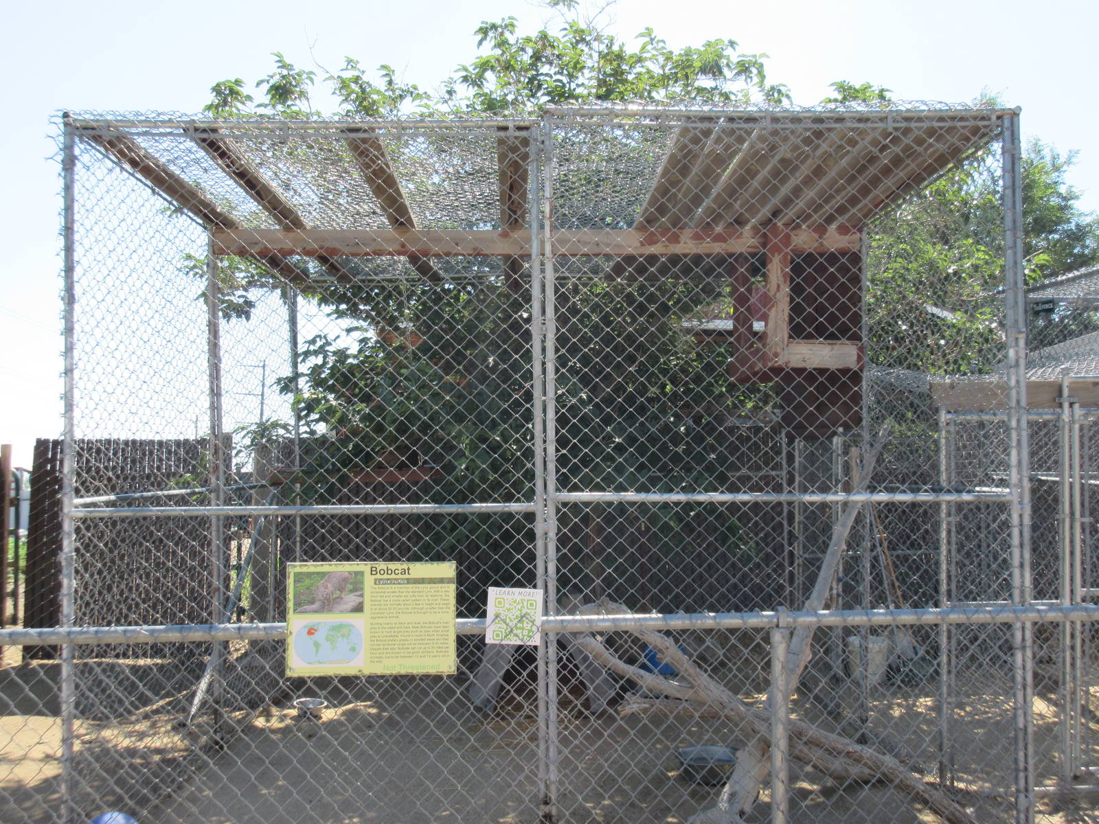 Sierra Safari Zoo (Nevada) - Bobcat Exhibit