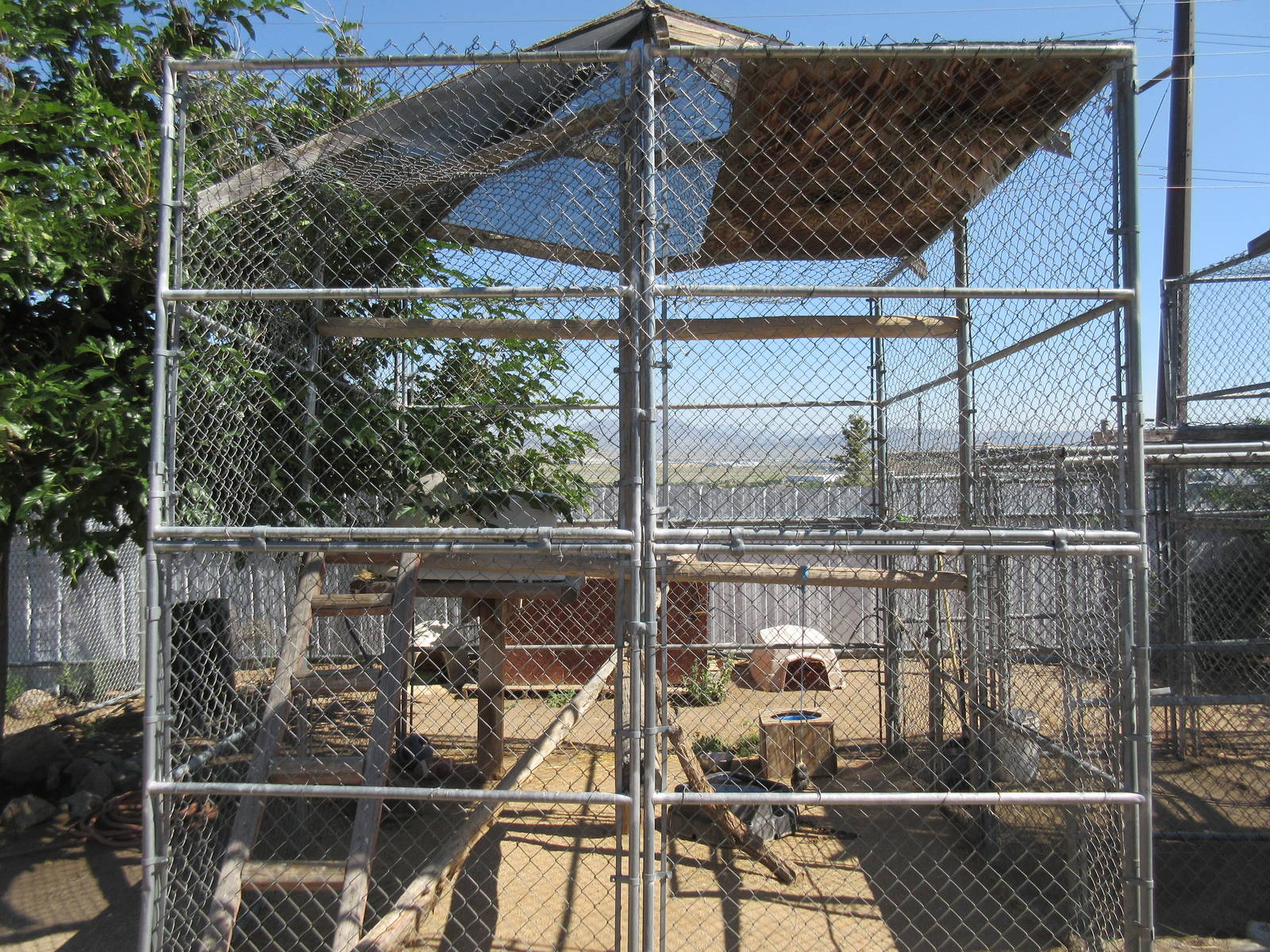Sierra Safari Zoo (Nevada) - Canadian Lynx Exhibit