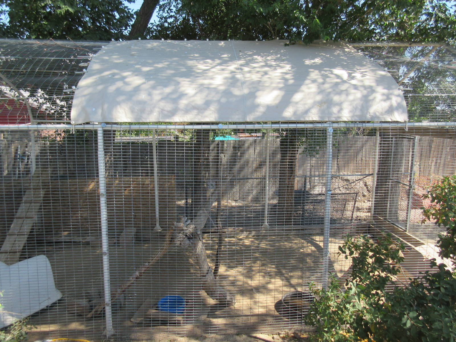 Sierra Safari Zoo (Nevada) - Empty Exhibit