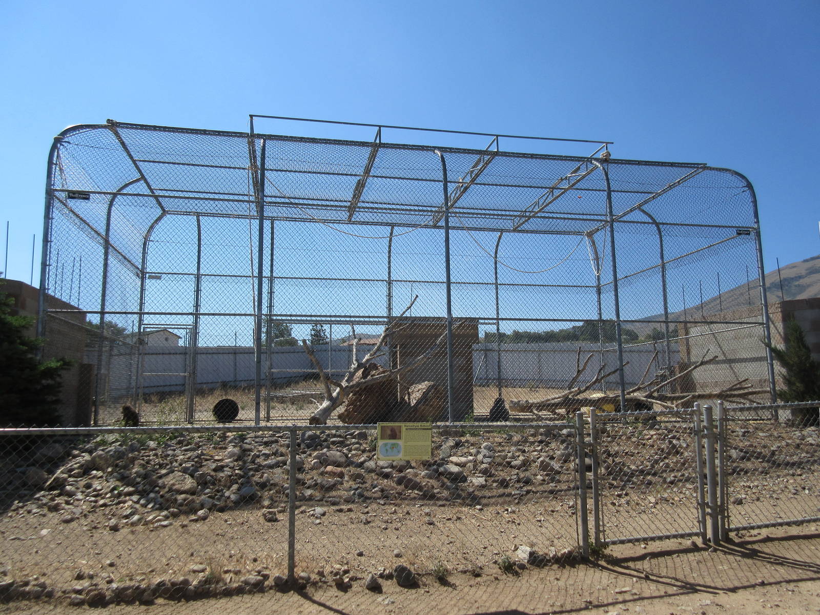 Sierra Safari Zoo (Nevada) - Hamadryas Baboon Exhibit