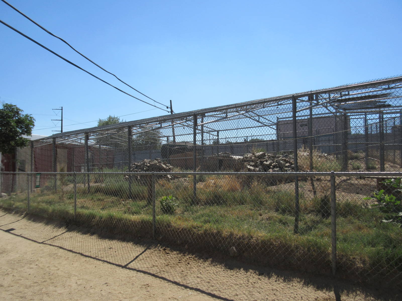 Sierra Safari Zoo (Nevada) - Leopard Exhibit
