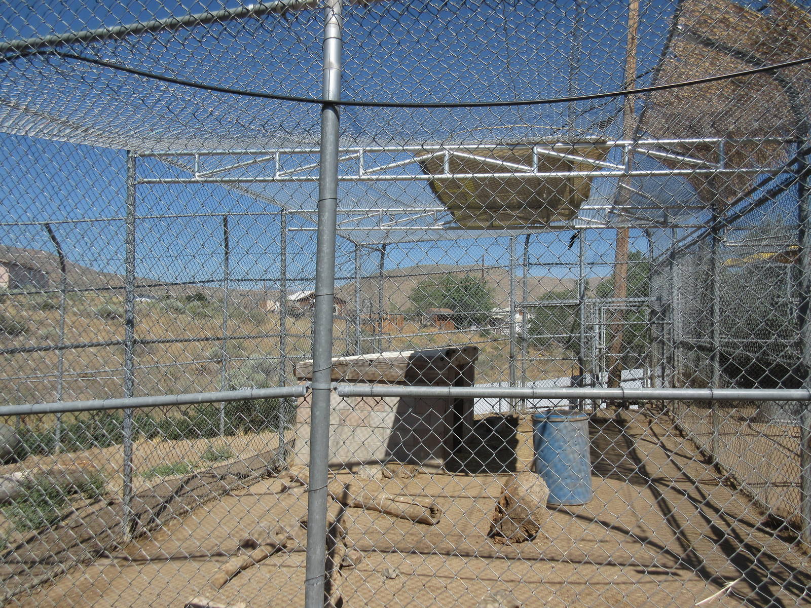 Sierra Safari Zoo (Nevada) - Lion Exhibit #2
