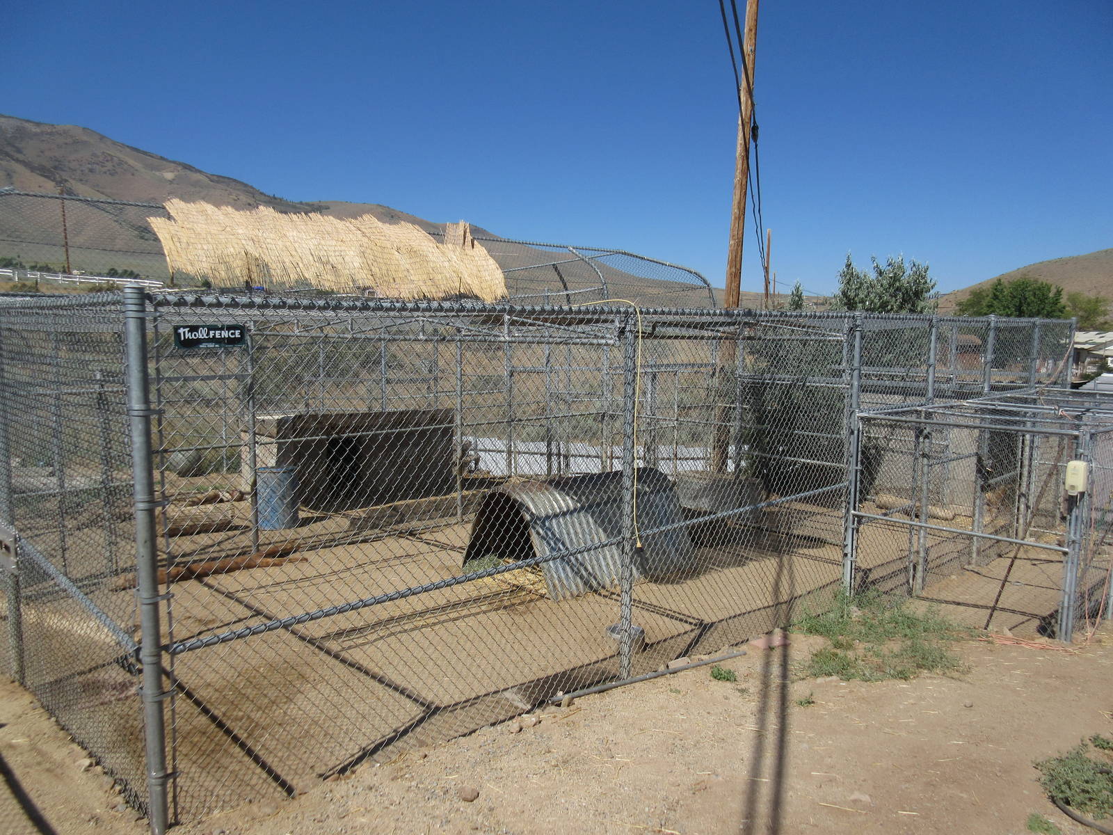 Sierra Safari Zoo (Nevada) - Lion Exhibits