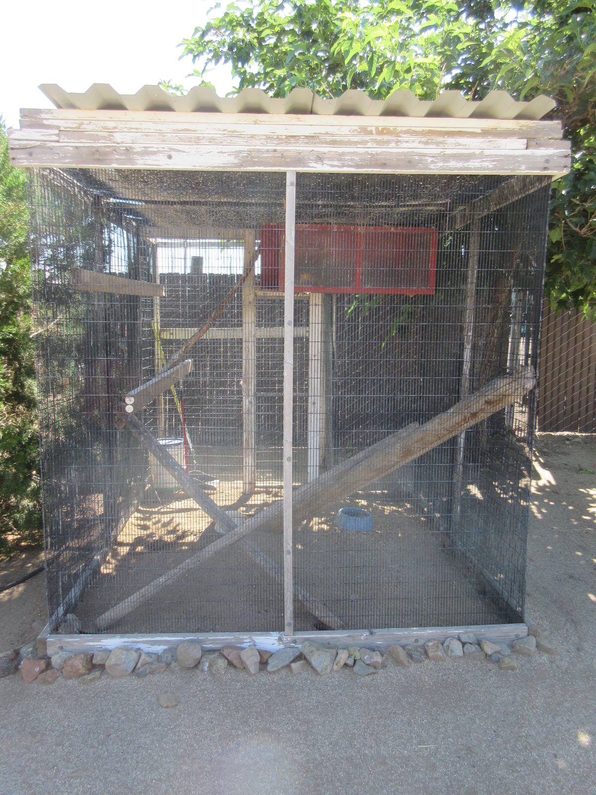 Sierra Safari Zoo (Nevada) - Red Golden Pheasant Exhibit