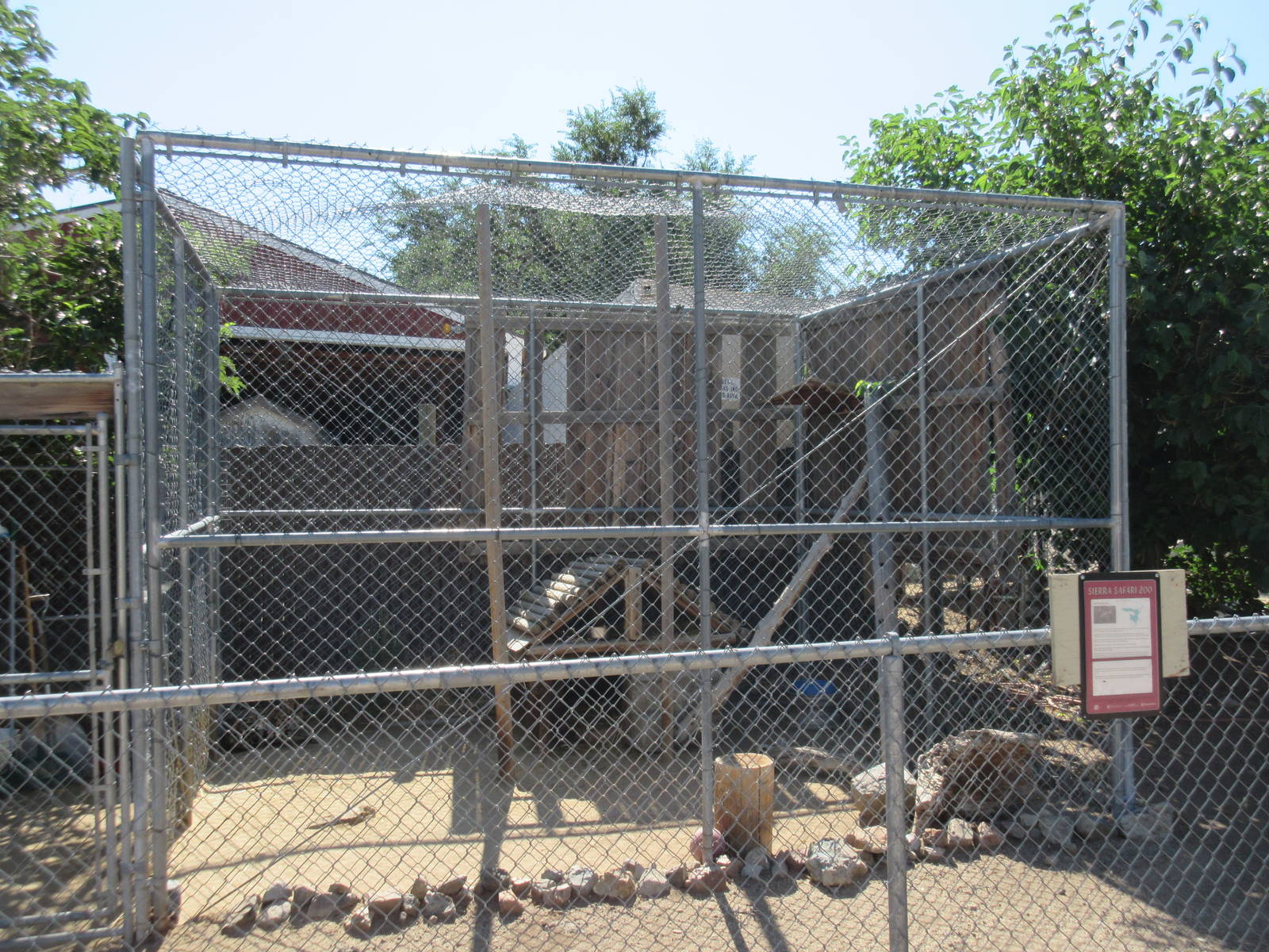 Sierra Safari Zoo (Nevada) - Serval Exhibit #1