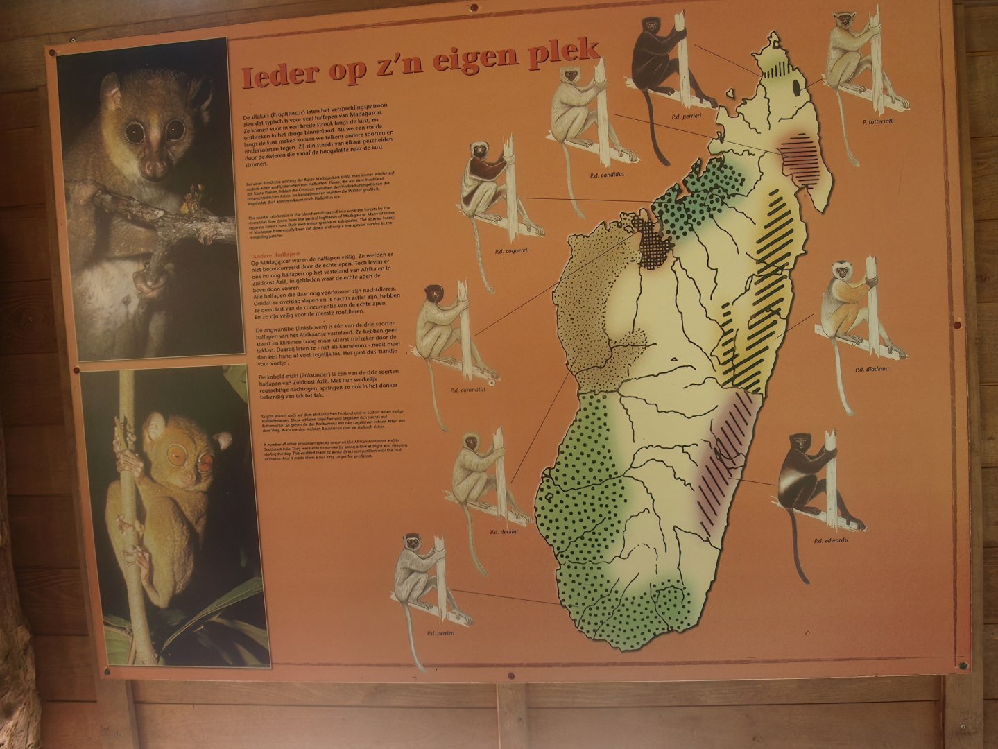 Sifaka species signage, 2015-08-01
