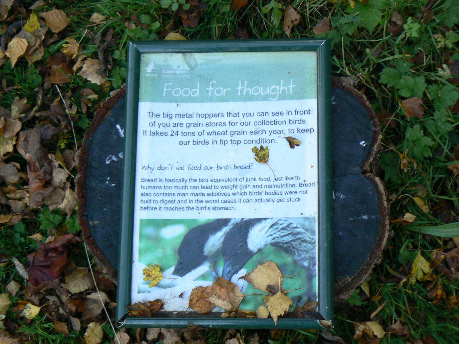 Sign - 26 October 2015