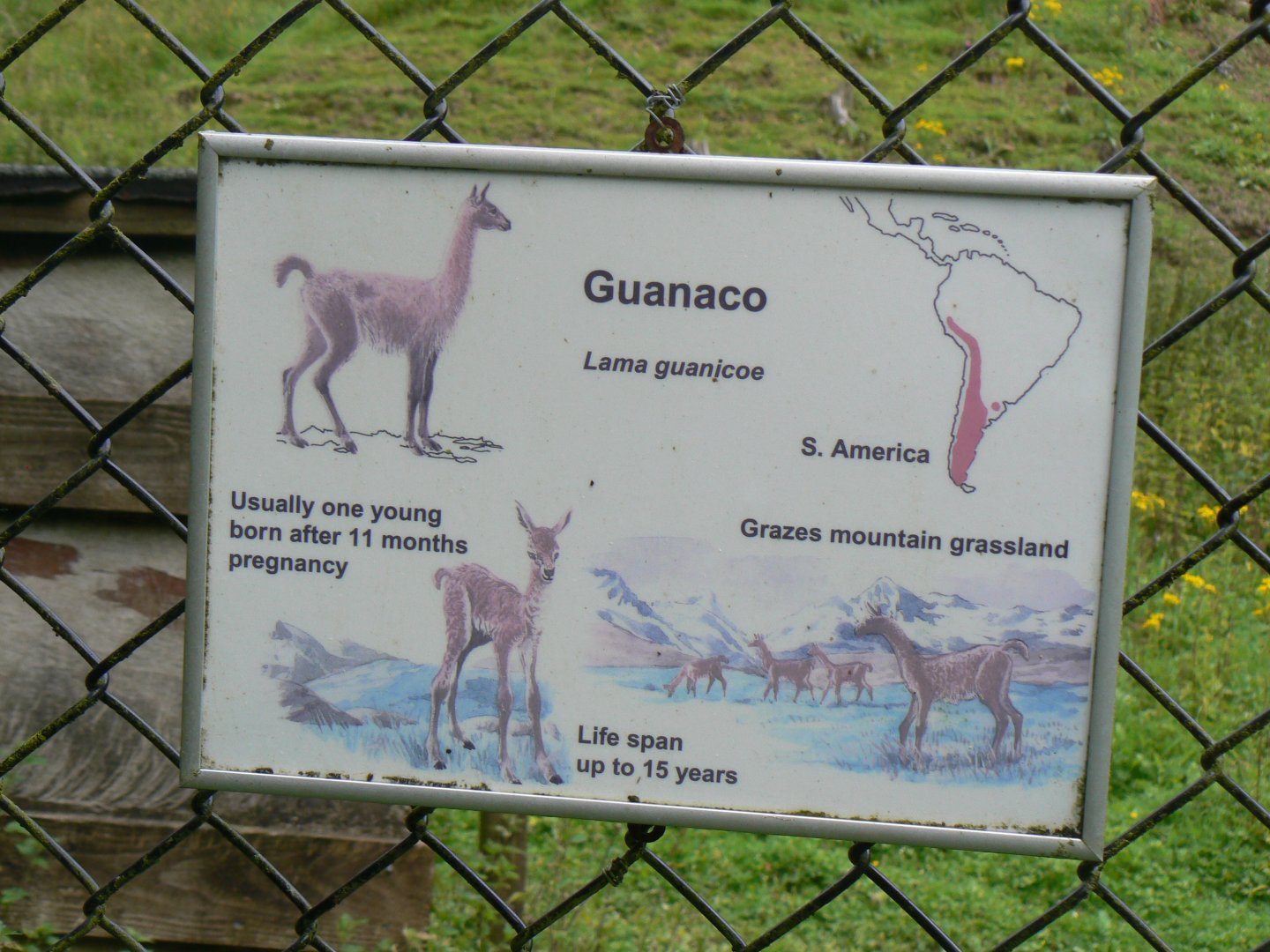 Sign - 8 August 2017