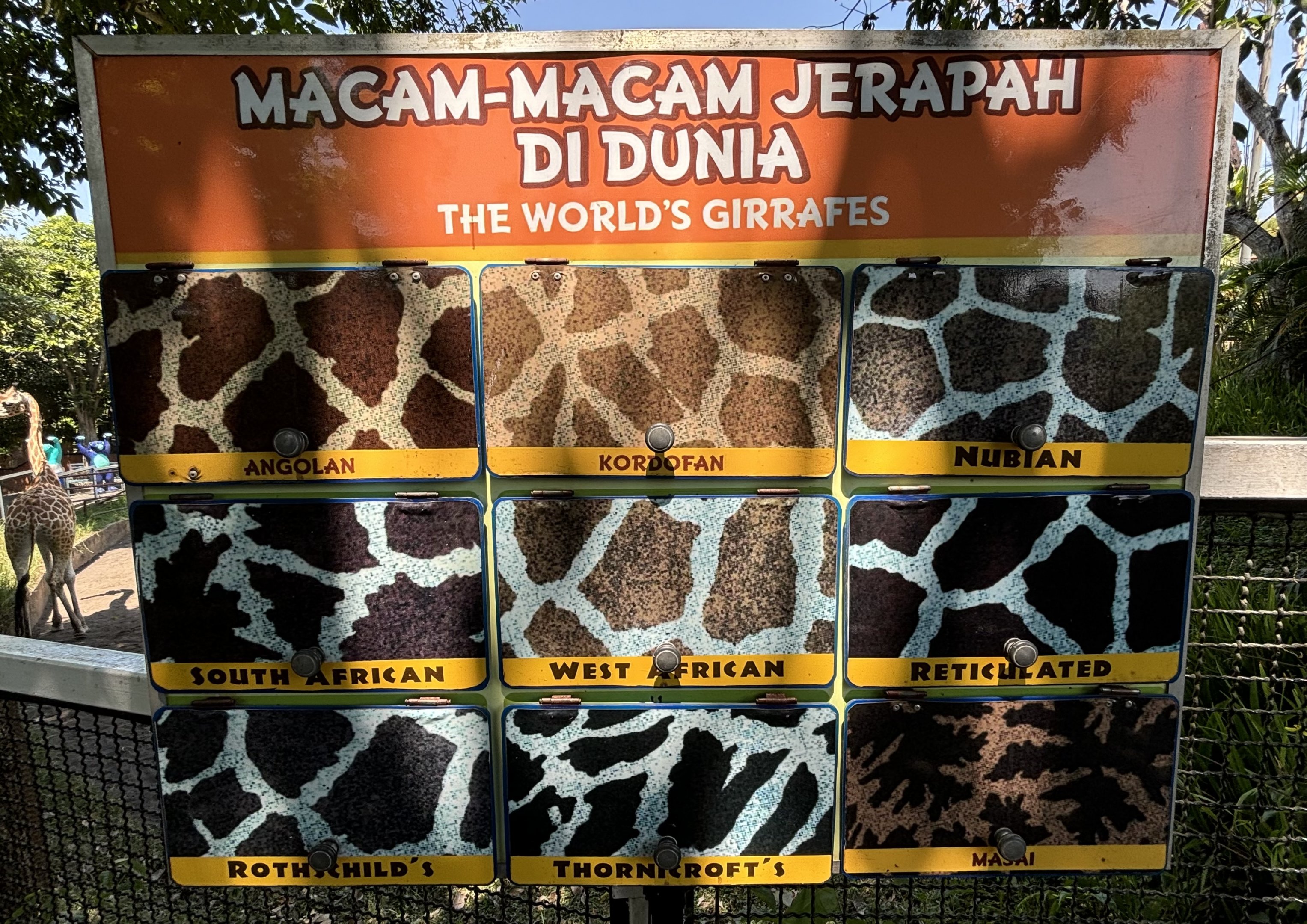 Sign - 9 Giraffe Species