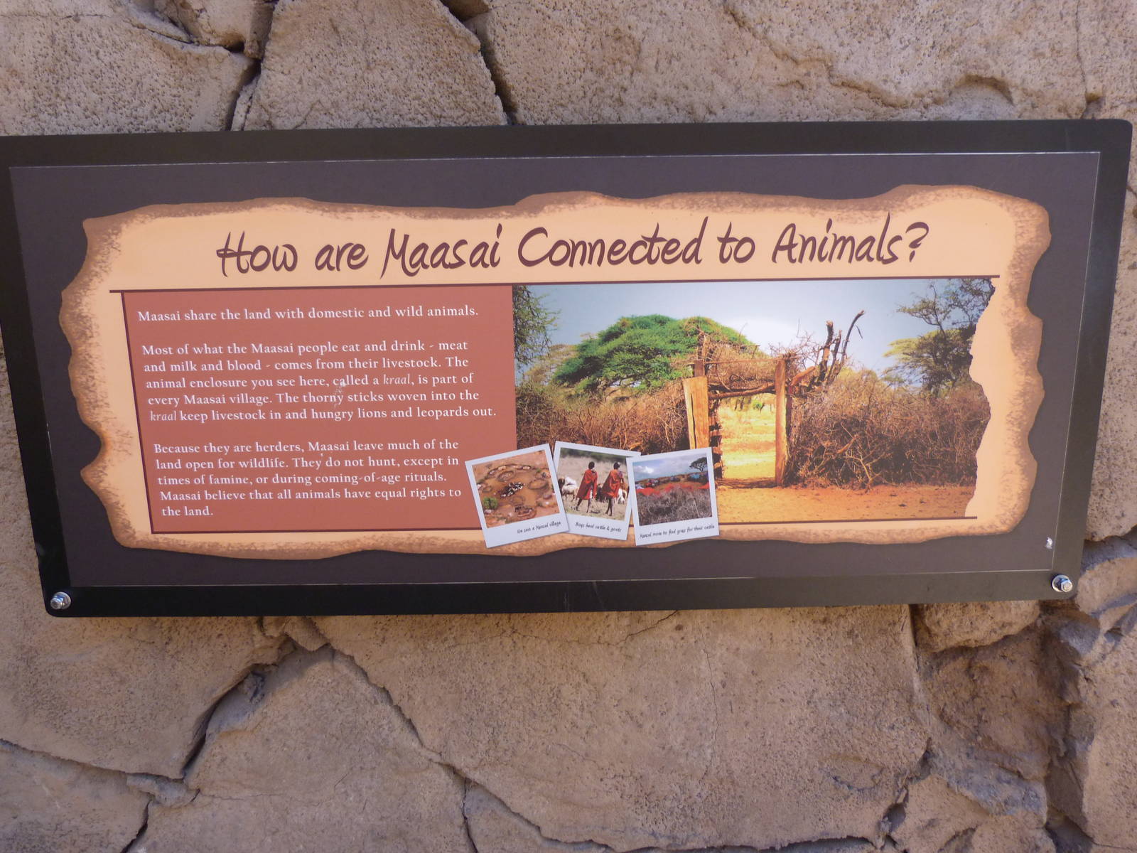 Sign: A Step Into Africa