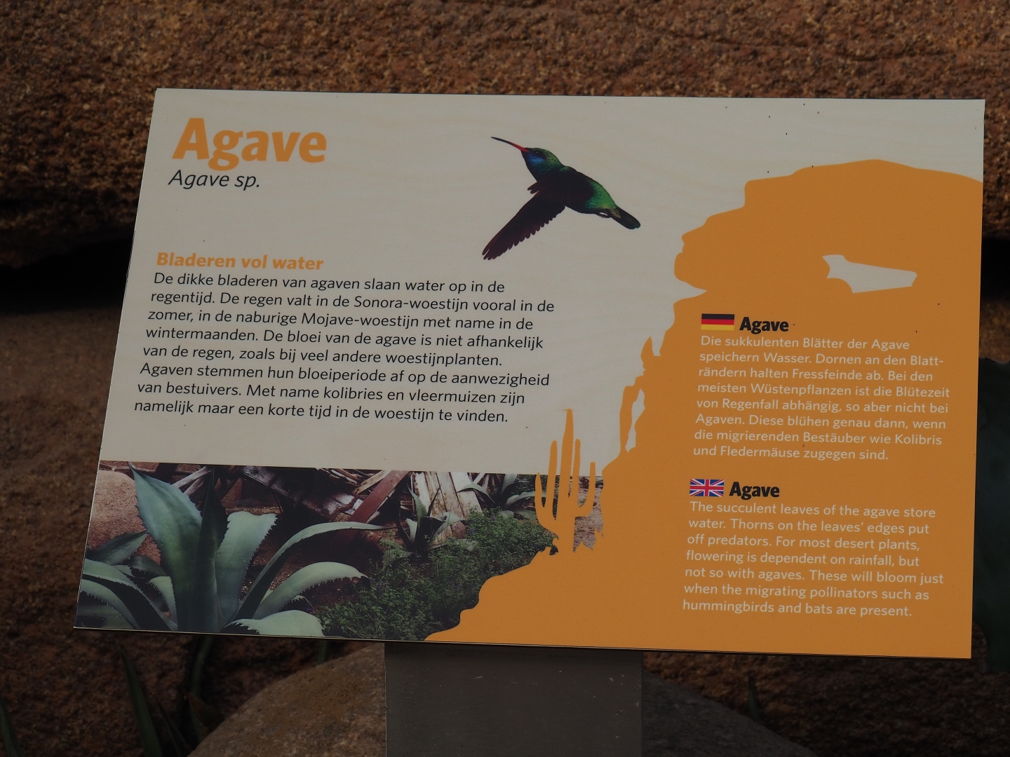 Sign about agaves (Sep 16th, 2018)