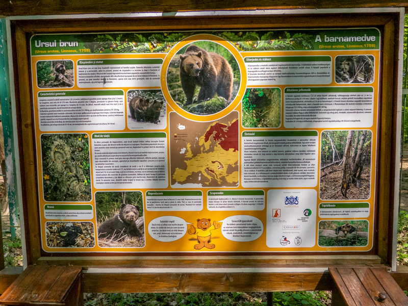 sign about brown bear