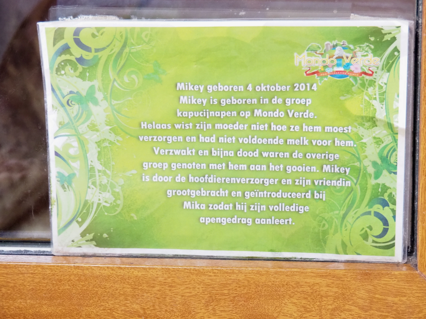 Sign about brown capuchin Mikey (Aug 28th, 2018)