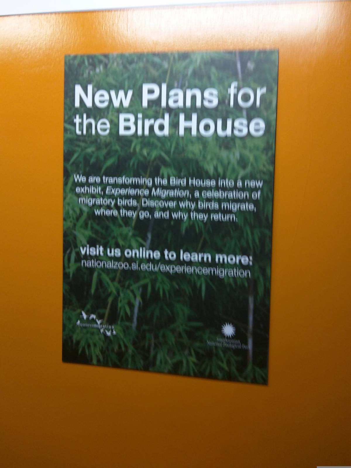 Sign about Experience Migration