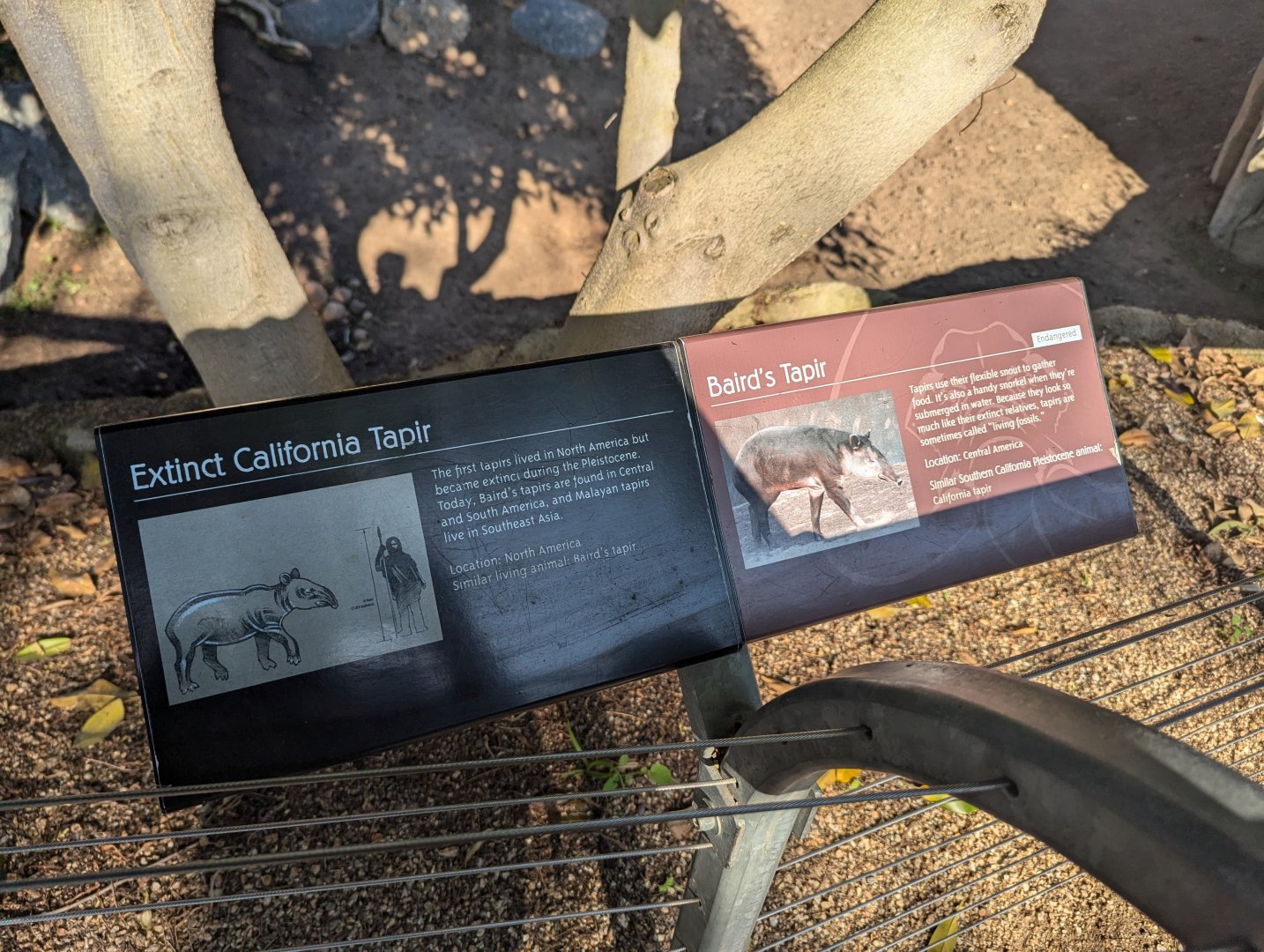 Sign About Extinct Animal and Extant Analog - Elephant Odyssey