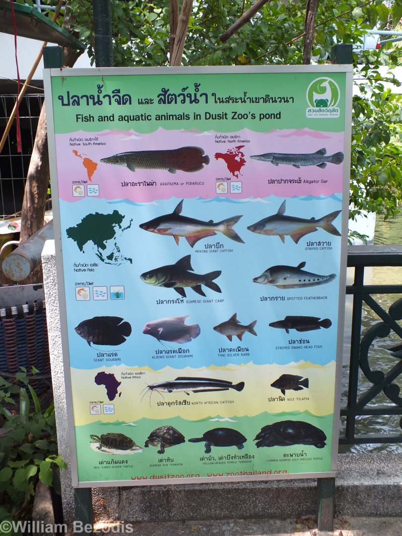 Sign About Fish in the Lake/Pond