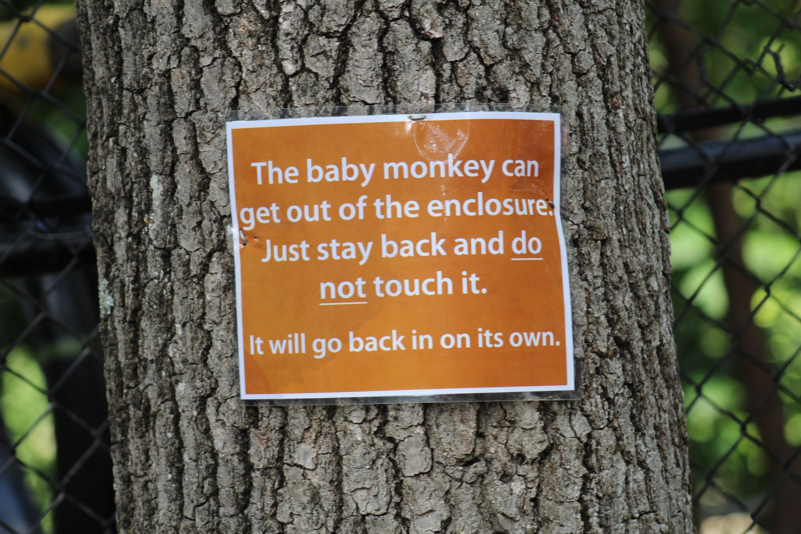 Sign About Guenon Escapes