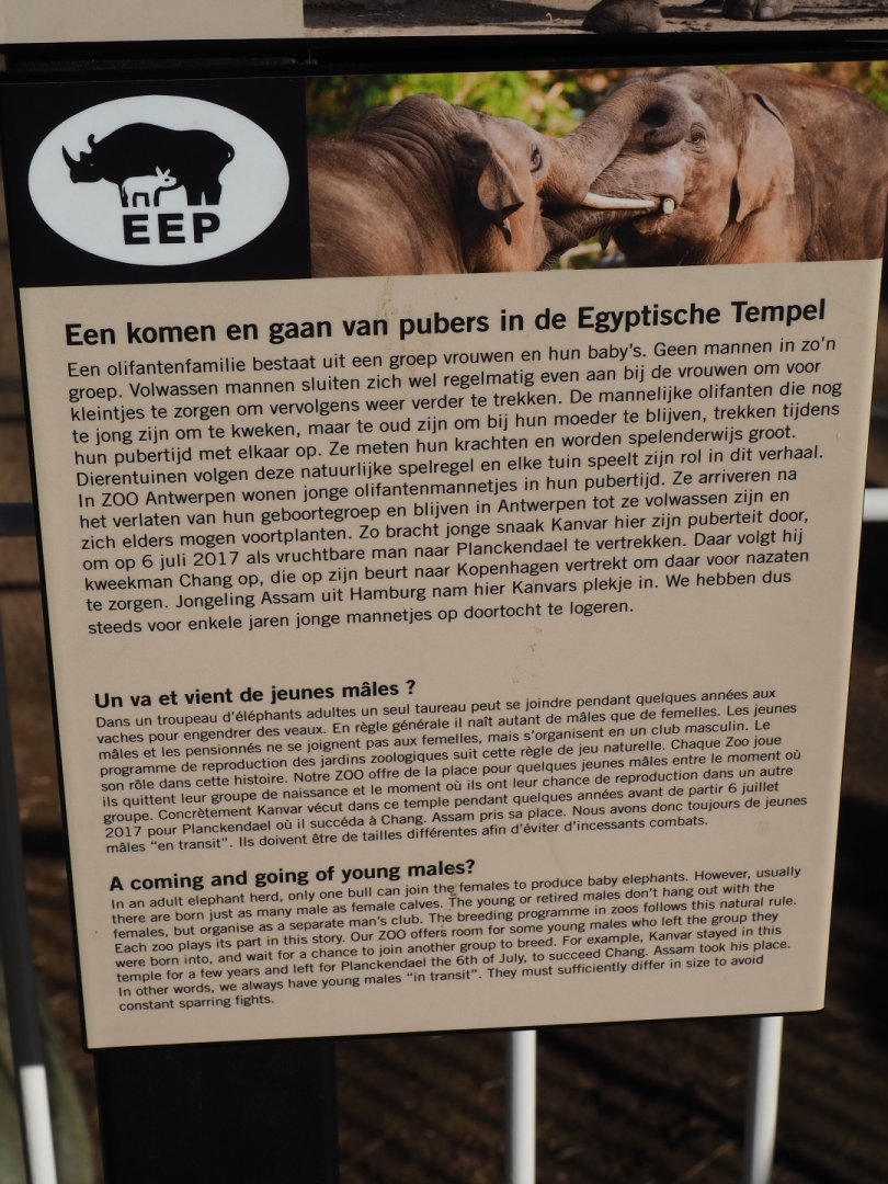 Sign about holding of adolescent male elephants at Antwerp (Feb 27th, 2019)