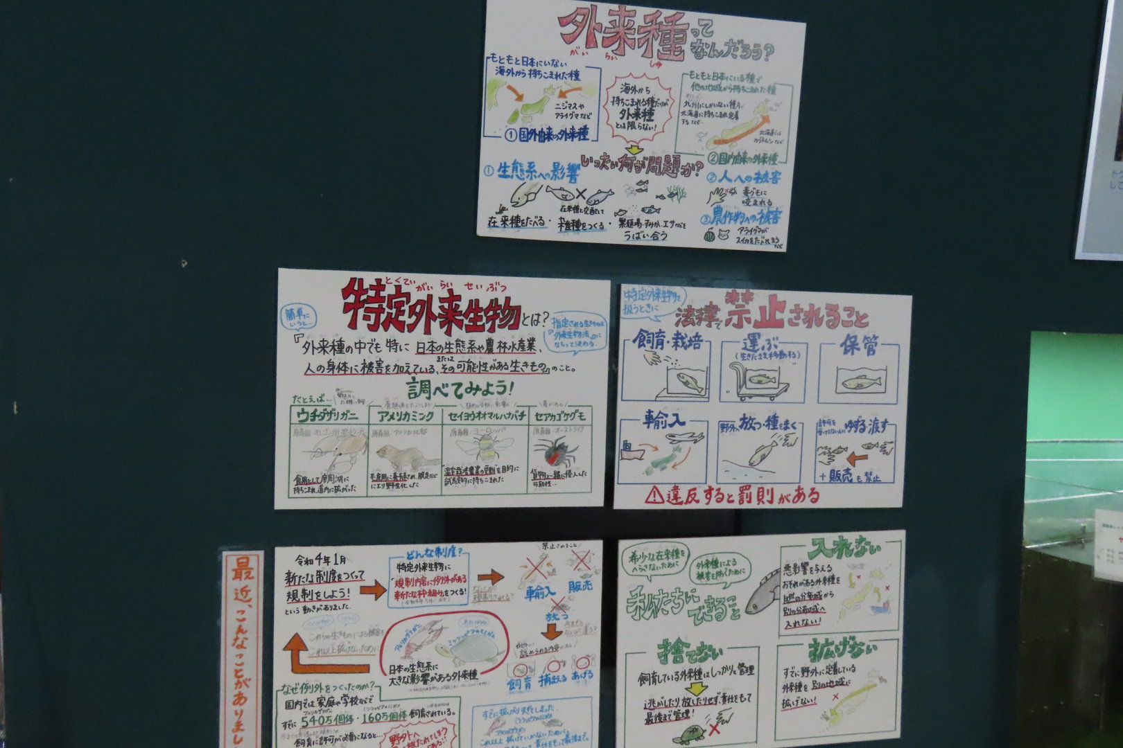 Sign about invasive exhibit