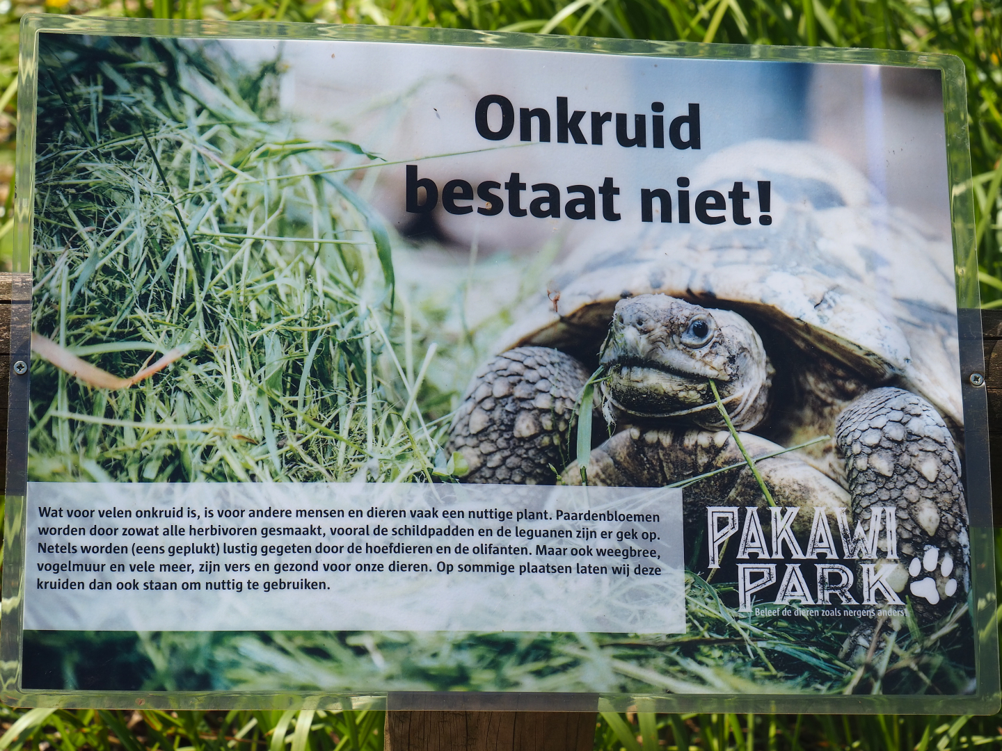 Sign about (lack of) weed management at the zoo, 2019-08-04