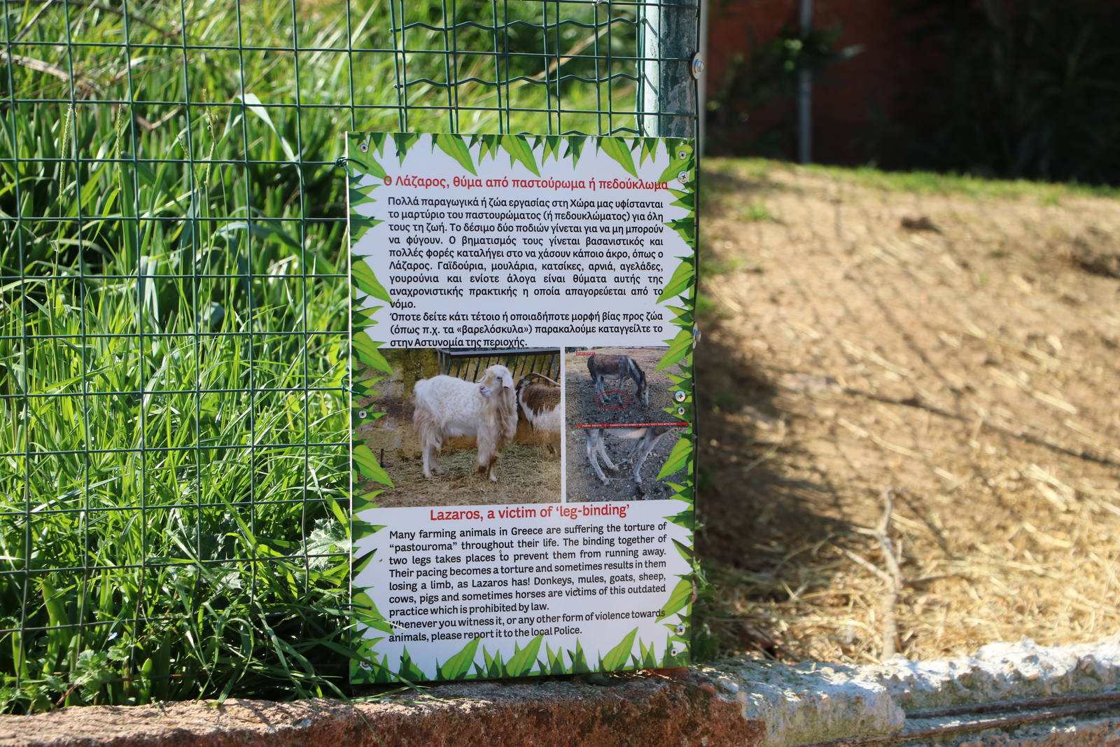 Sign about leg binding, February 2016