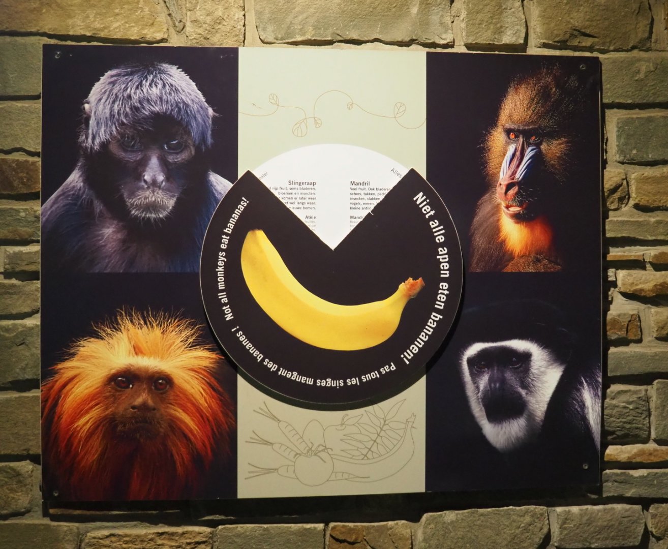 Sign about monkey nutrition in the Small monkey house, 2021-07-17