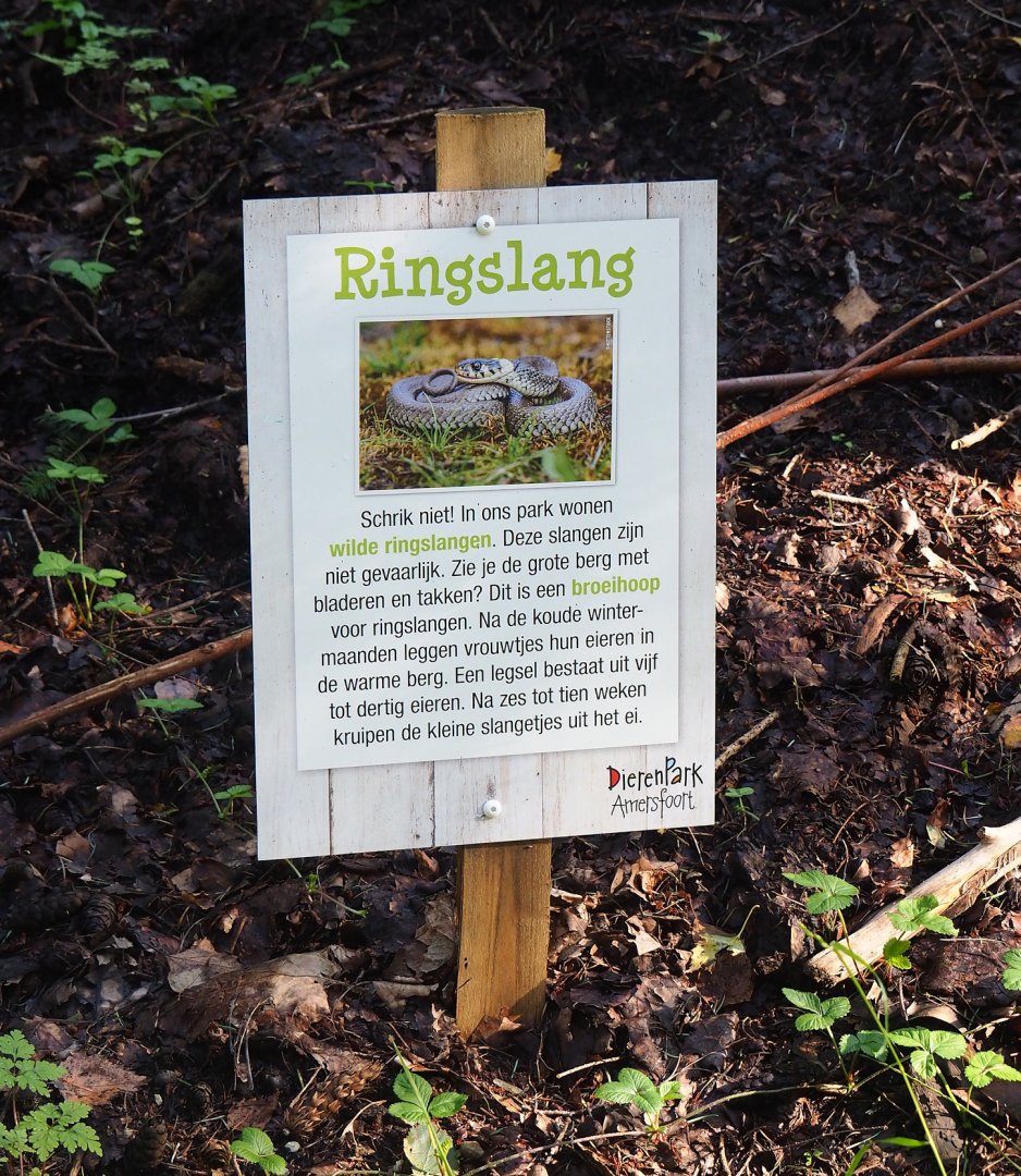 Sign about native barred grass snakes living on zoos grounds, 2023-09-24
