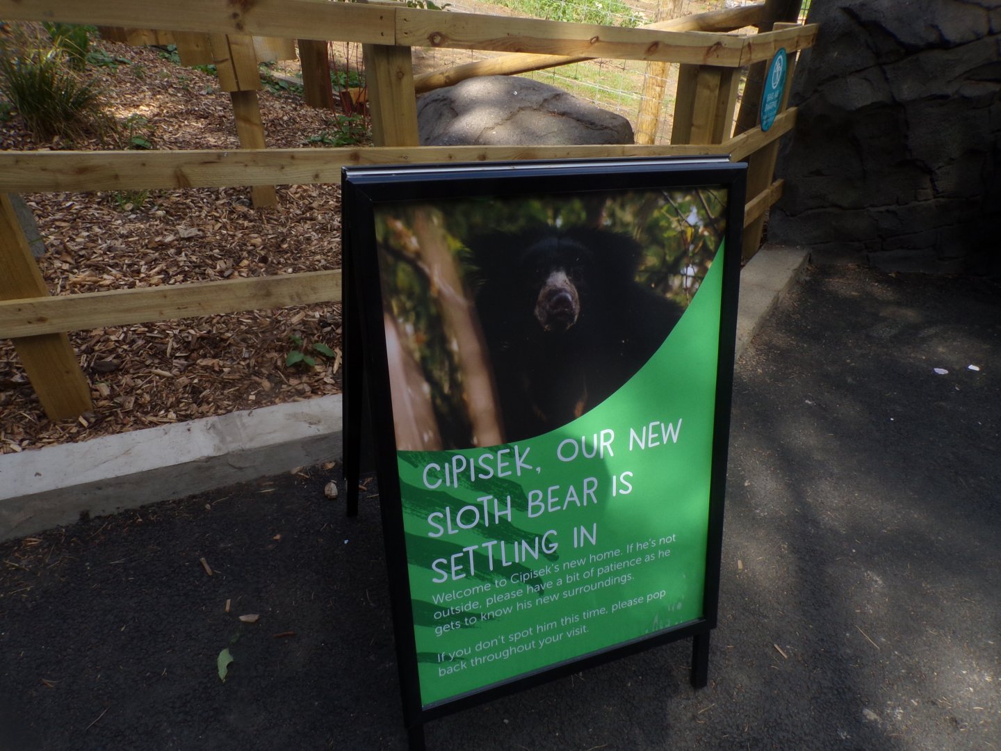 Sign about new sloth bear 18.7.25