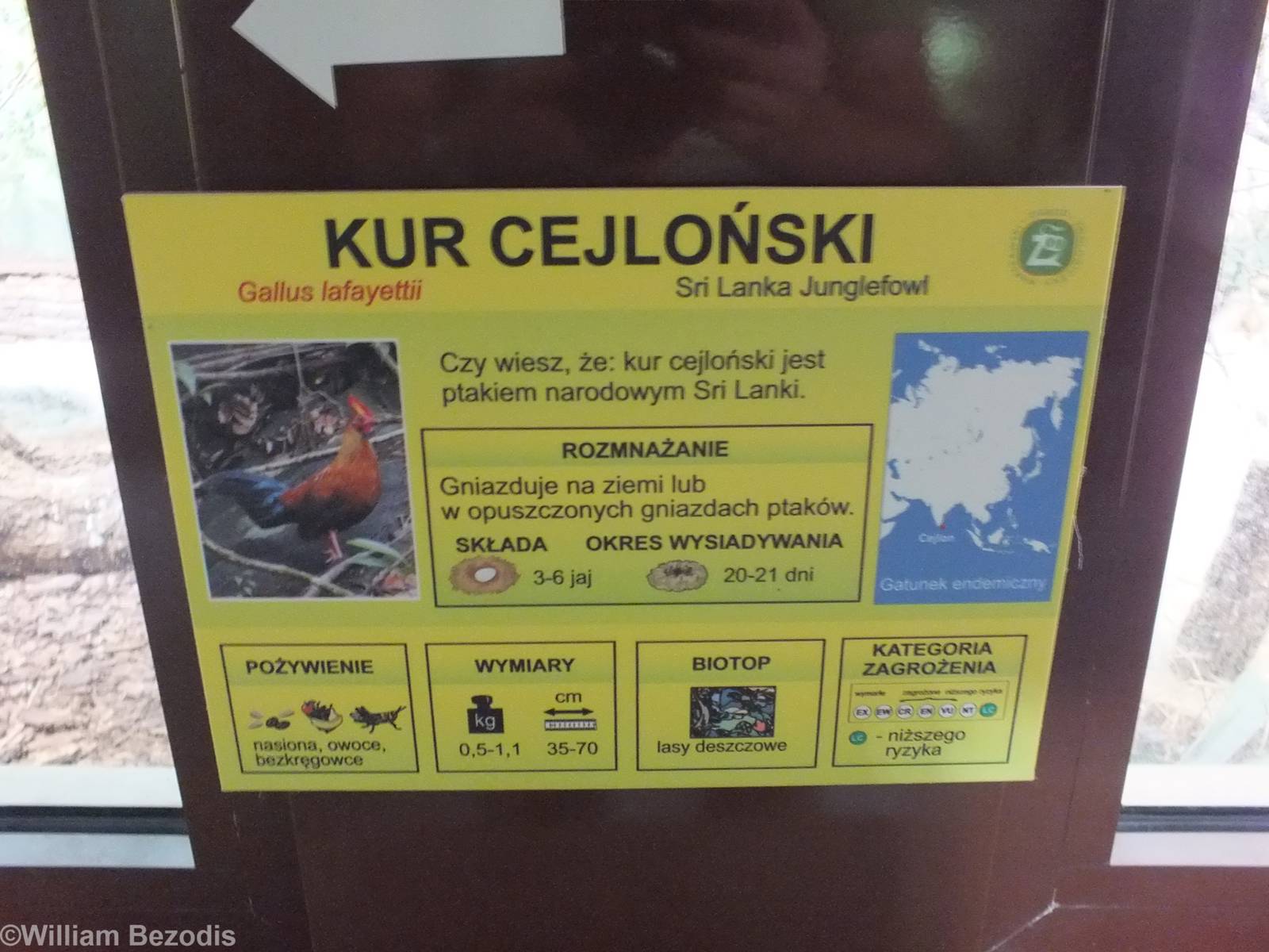 Sign About New Sri Lankan Junglefowl