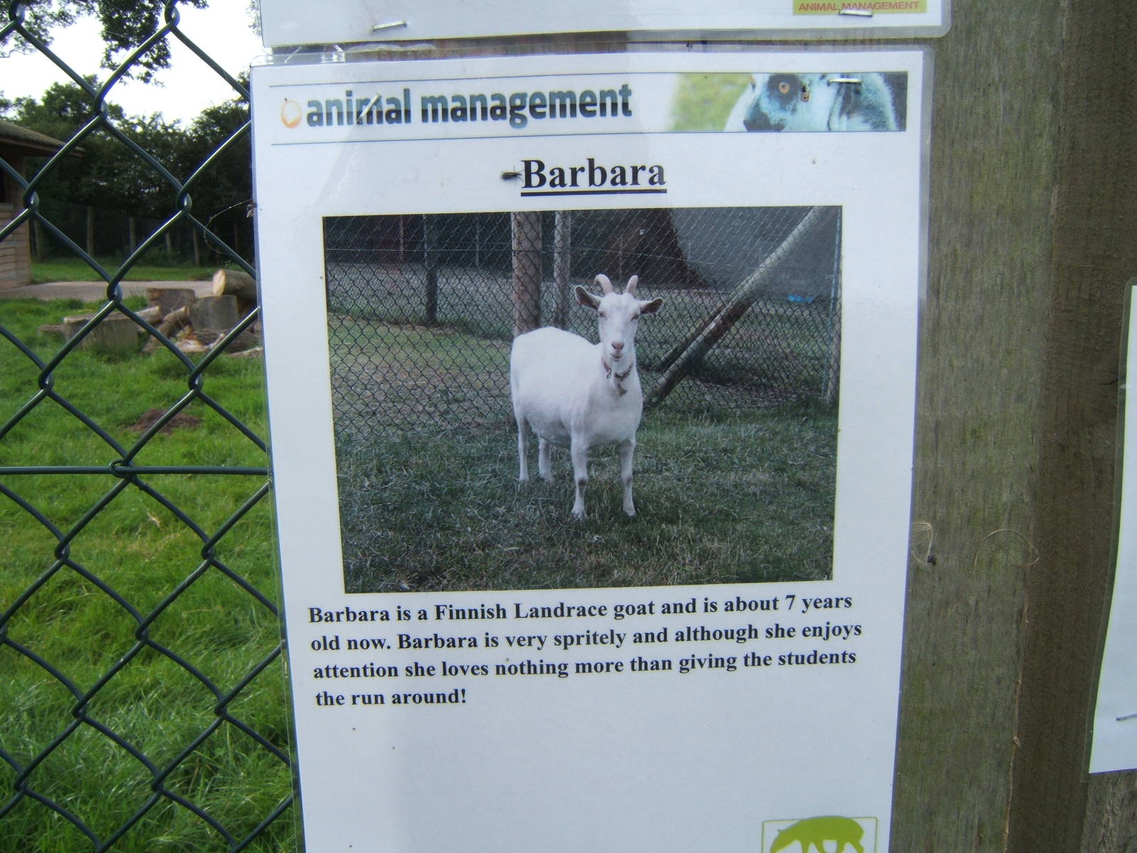 Sign about one of the Goats