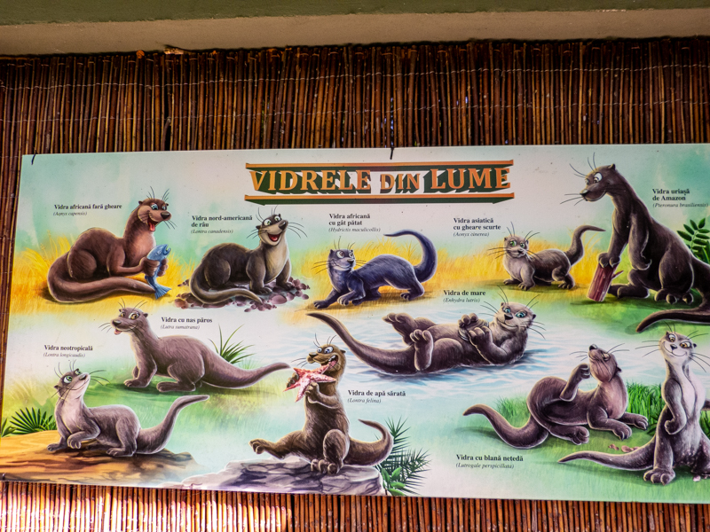 sign about otter species