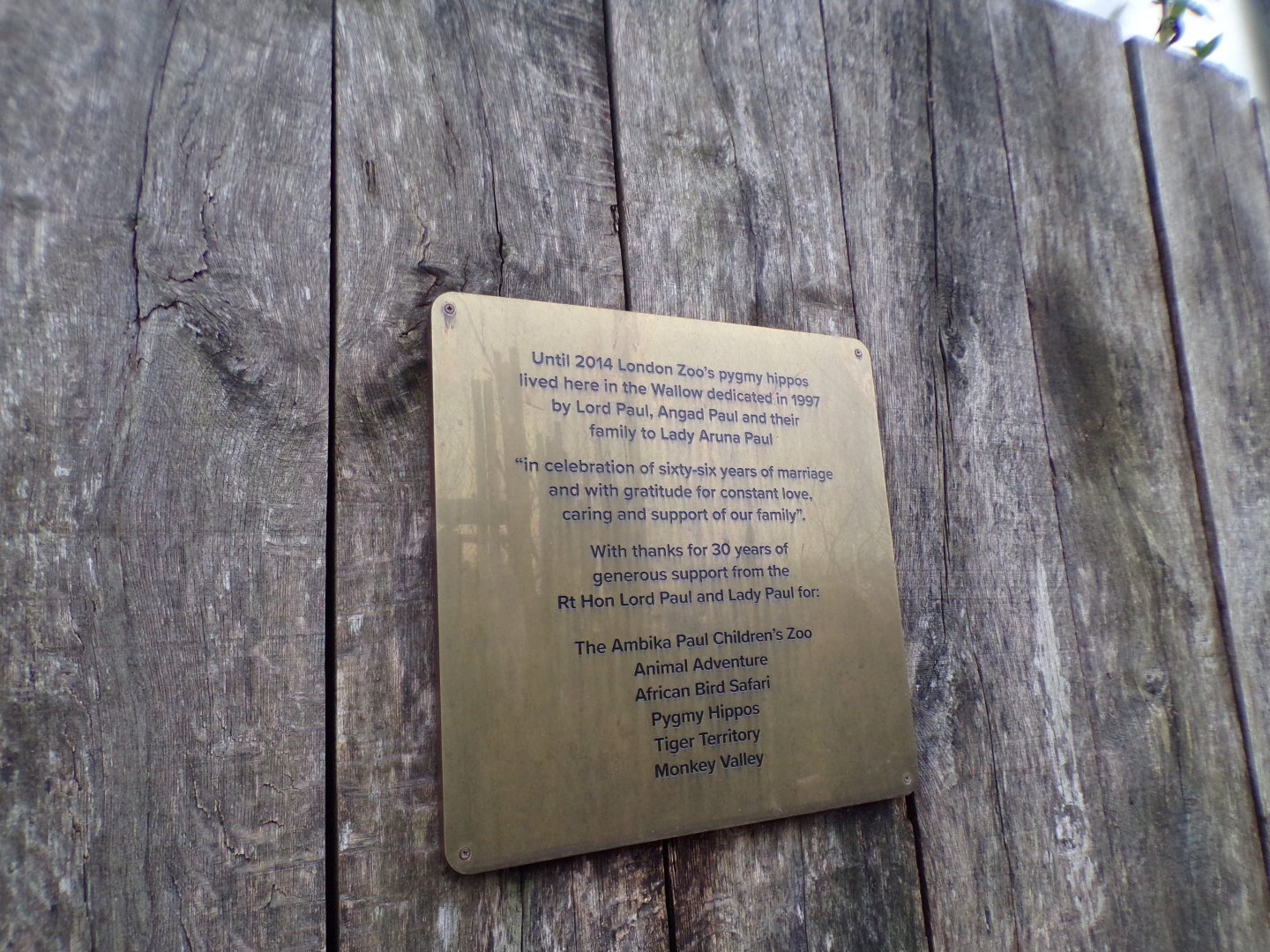 Sign about pygmy hippo 11.2.25