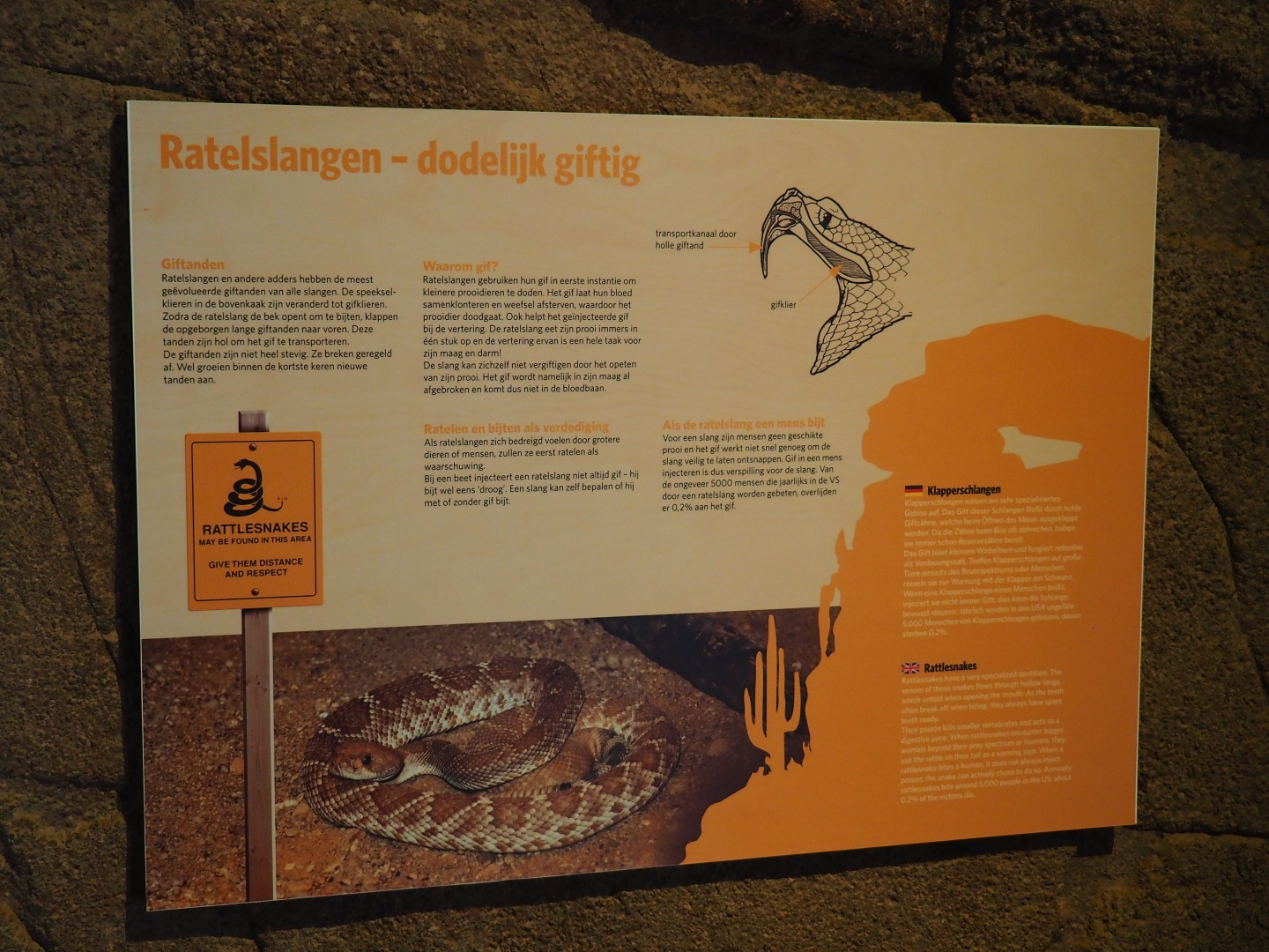 Sign about rattlesnake and their venom (Sep 16th, 2018)