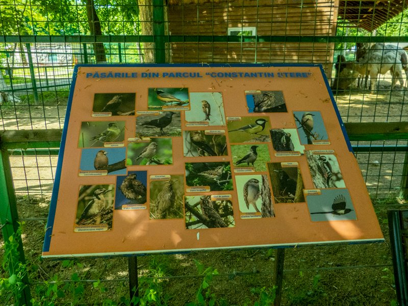 sign about Romanian birds