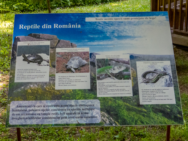 sign about Romanian reptiles