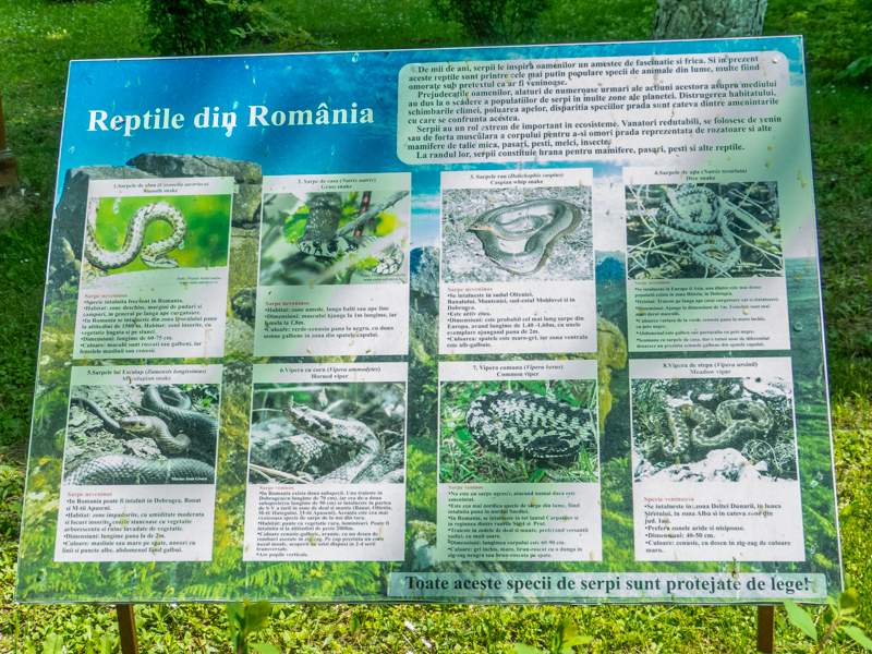 sign about Romanian reptiles