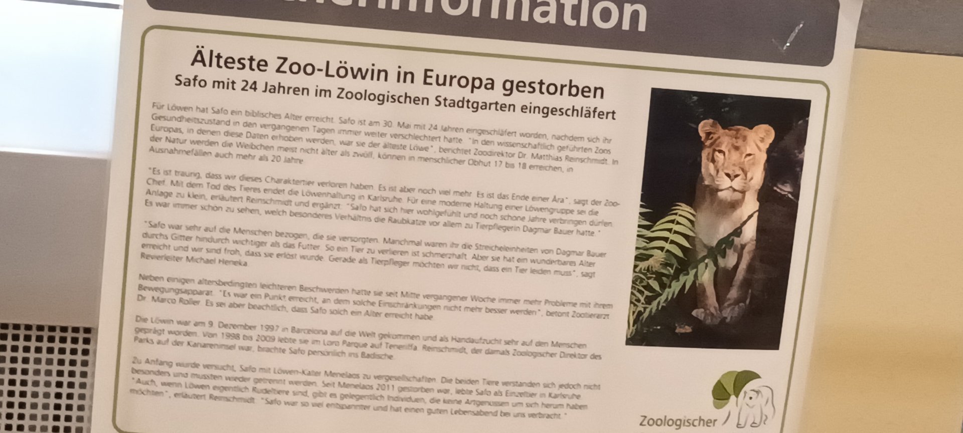 Sign about Safo the last Lion