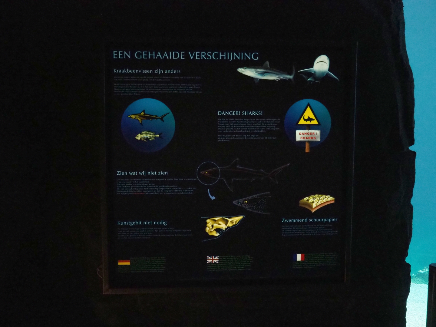 Sign about sharks (Sep 16th, 2018)