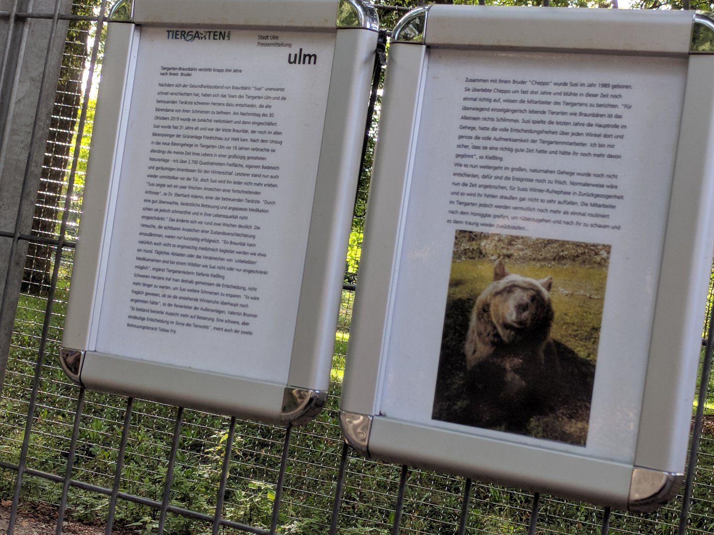 Sign about Susi the Last European Brown Bear