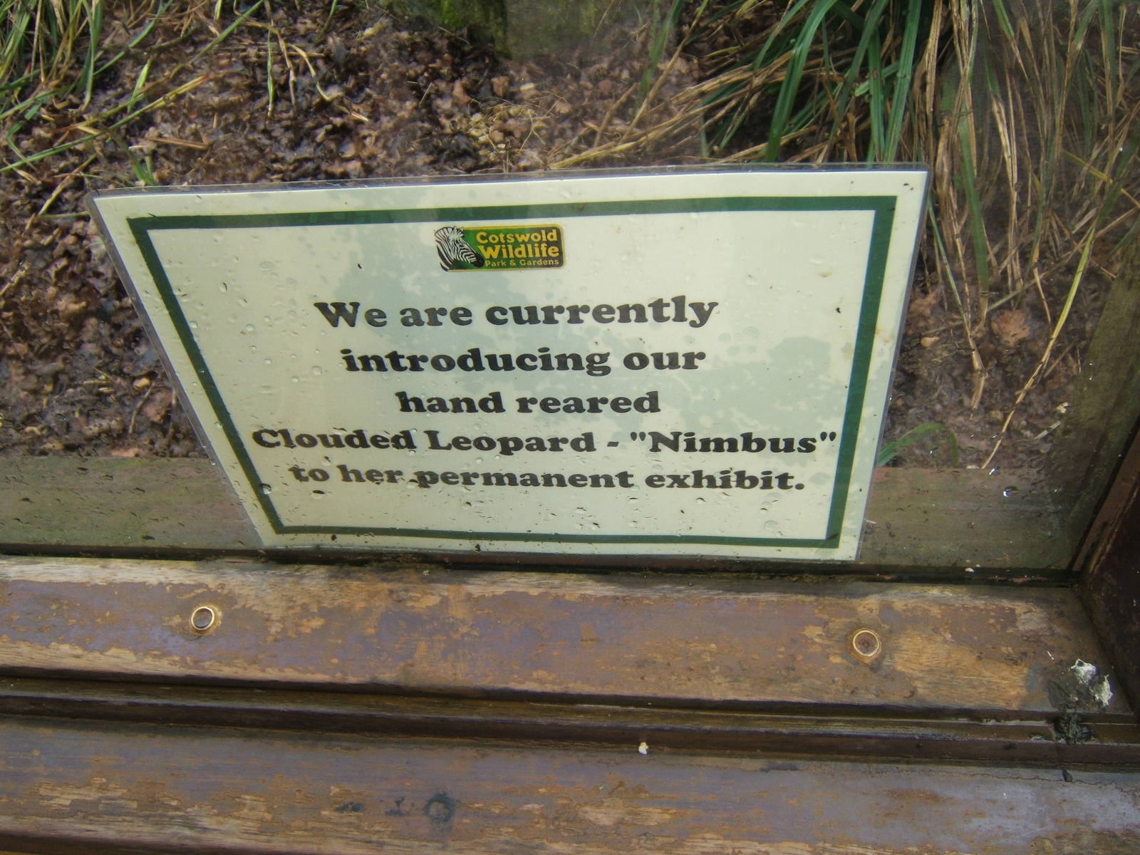 Sign about the Clouded Leopard
