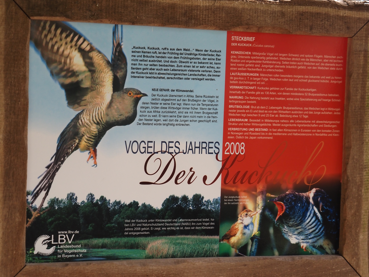 Sign about the conservation of the common cuckoo, 2024-05-21