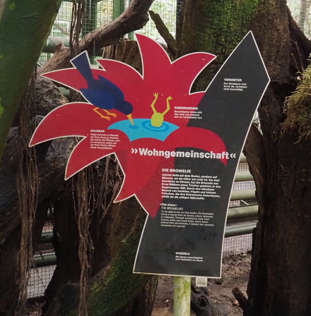 Sign about the ecology of Bromeliads, 2024-05-22