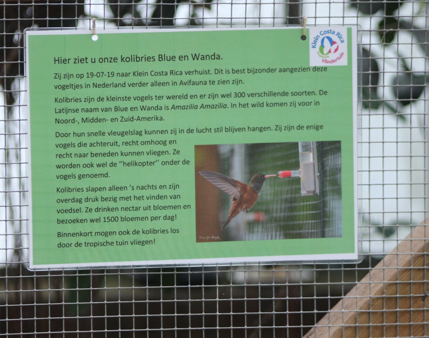 Sign about the Hummingbirds