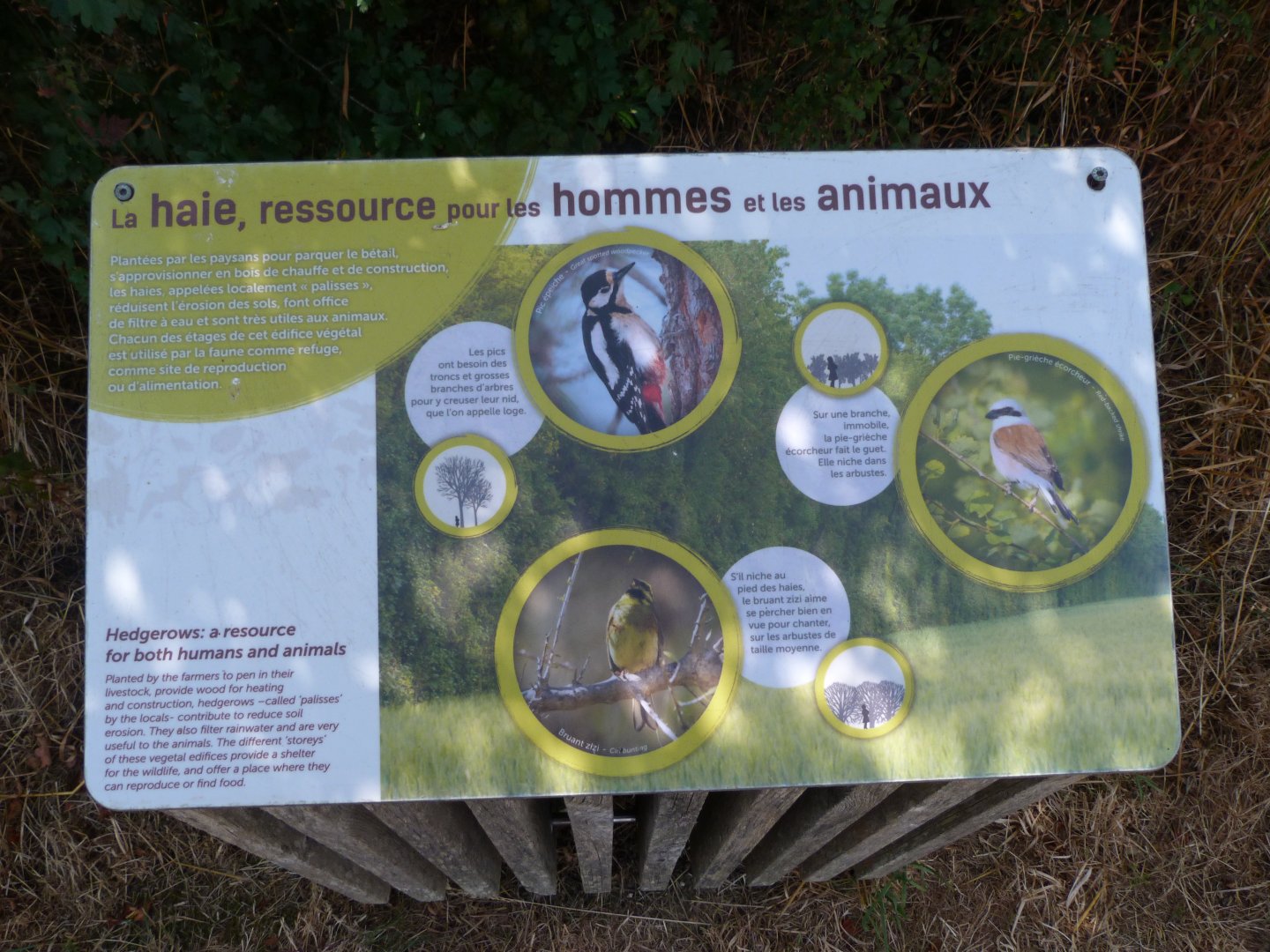 Sign about the importance of hedges -Zoodyssée (2025)