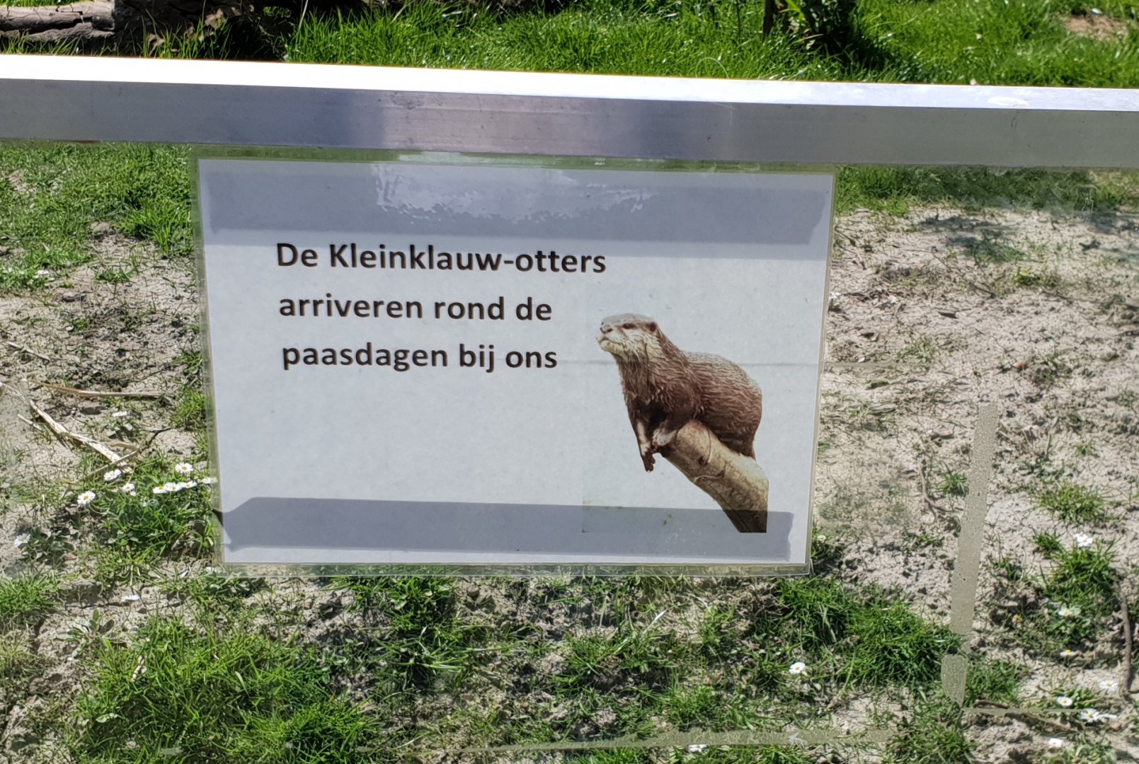 Sign about the new expected otters