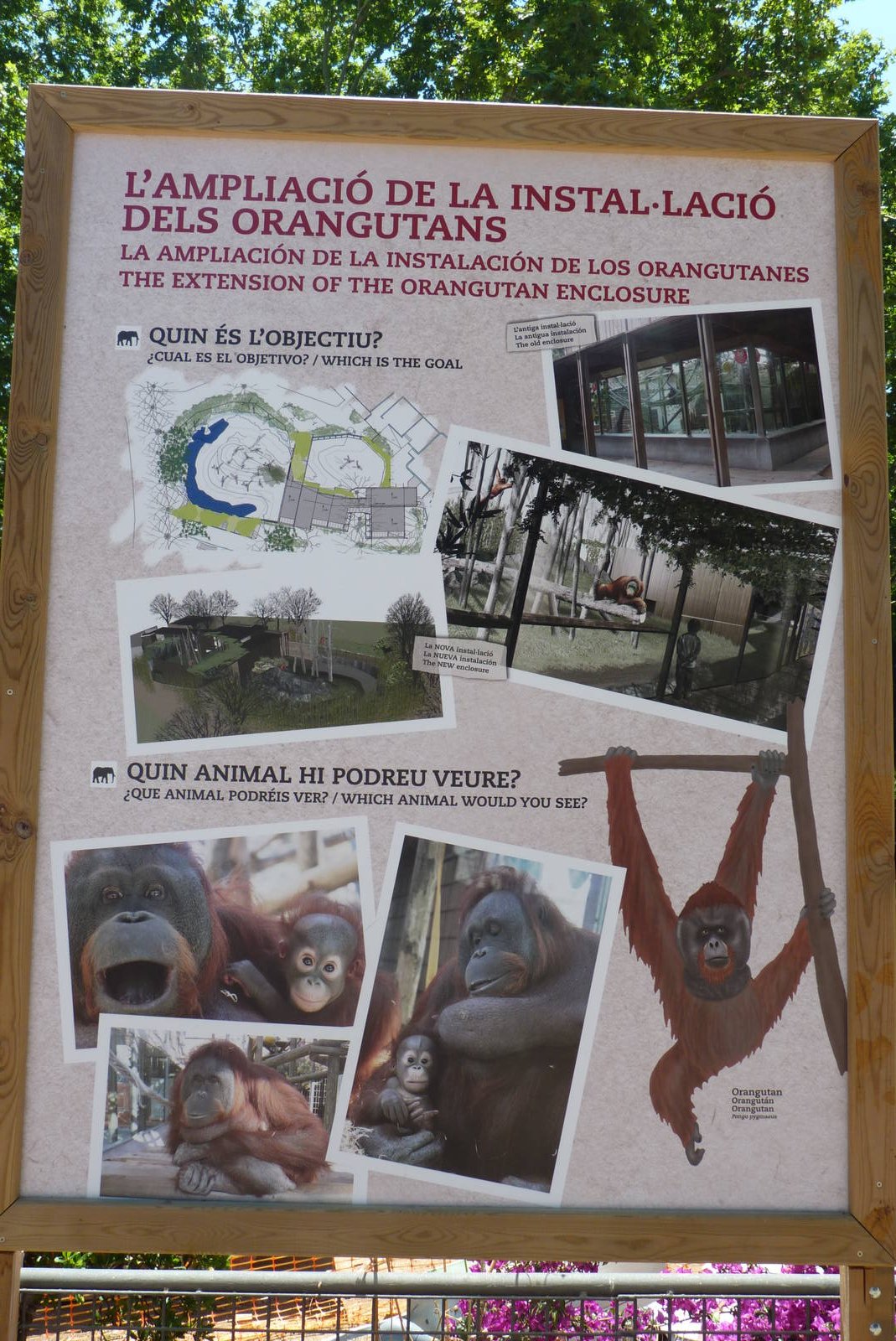 Sign about the new Orangutan Enclosure, June 2015
