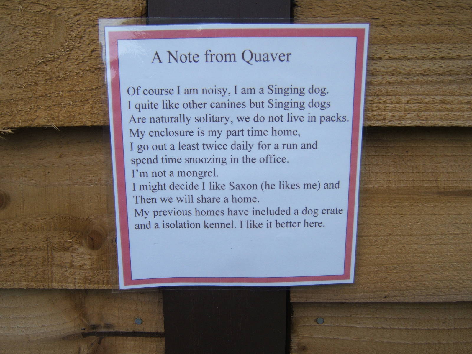 Sign about the New Singing Dog