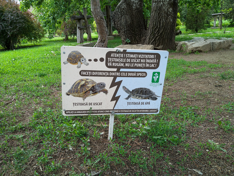 sign about tortoise and turtle